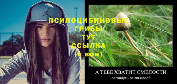 спиды Бронницы