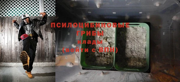 дживик Болохово