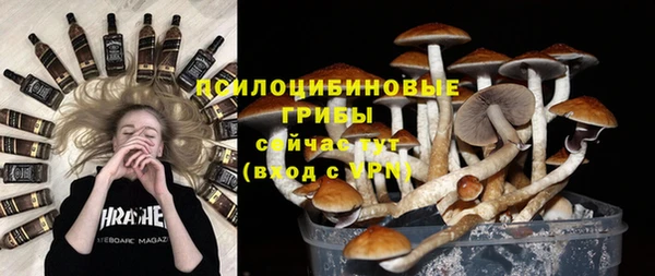 спиды Бронницы
