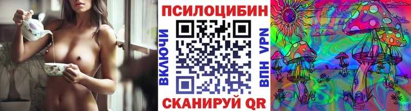 kraken рабочий сайт  Новоуральск  Псилоцибиновые грибы Cubensis 